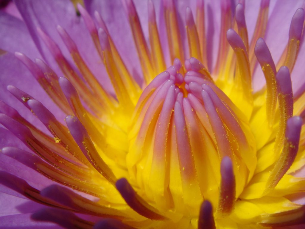 Fotolia 2194293 L https://site3.extrazur.com/galerie/